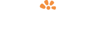 hawaii-tours-white-logo