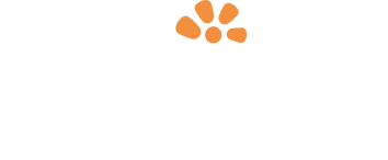 Hawaii Tours and Activities